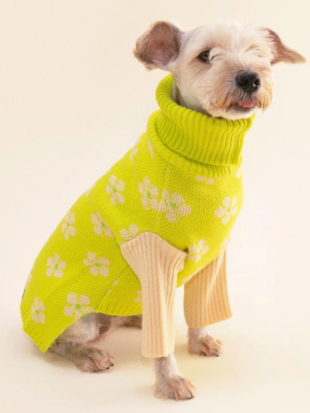 Flower Power Dog Sweater